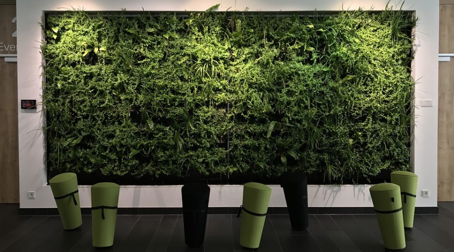 How to Go Green in Your Office
