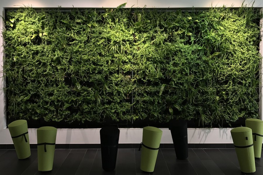 How to Go Green in Your Office